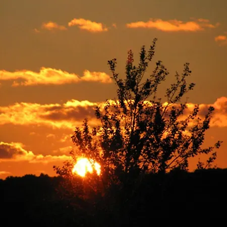 Daire Ferienhaus-heisser-sand-whg-6 Wittdün